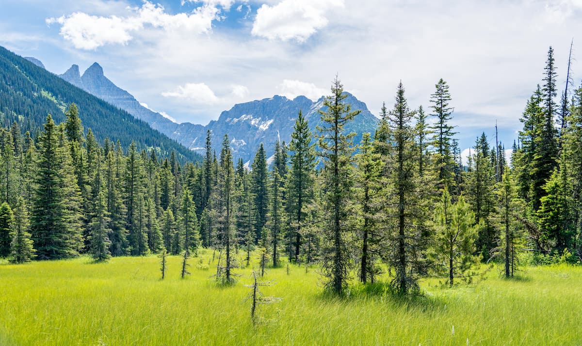 Kootenai National Forest